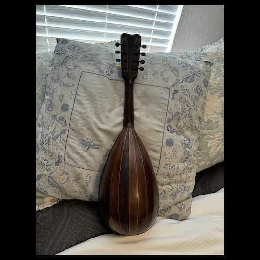 Antique Mandolin Moth inlay 1900s - 7