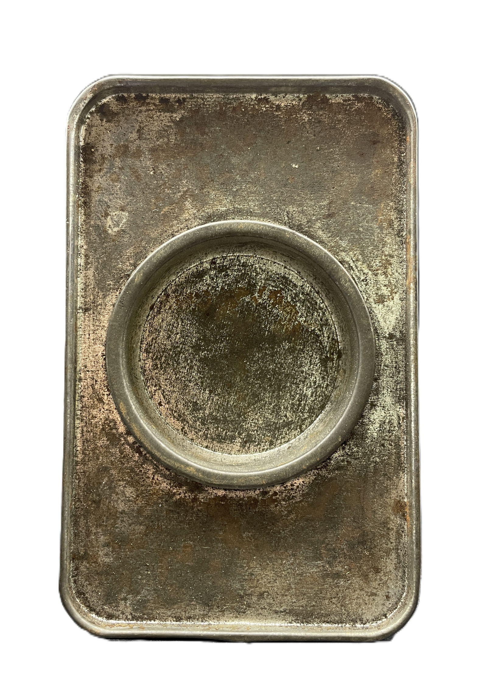 Old Flocked Lion 12" - 6