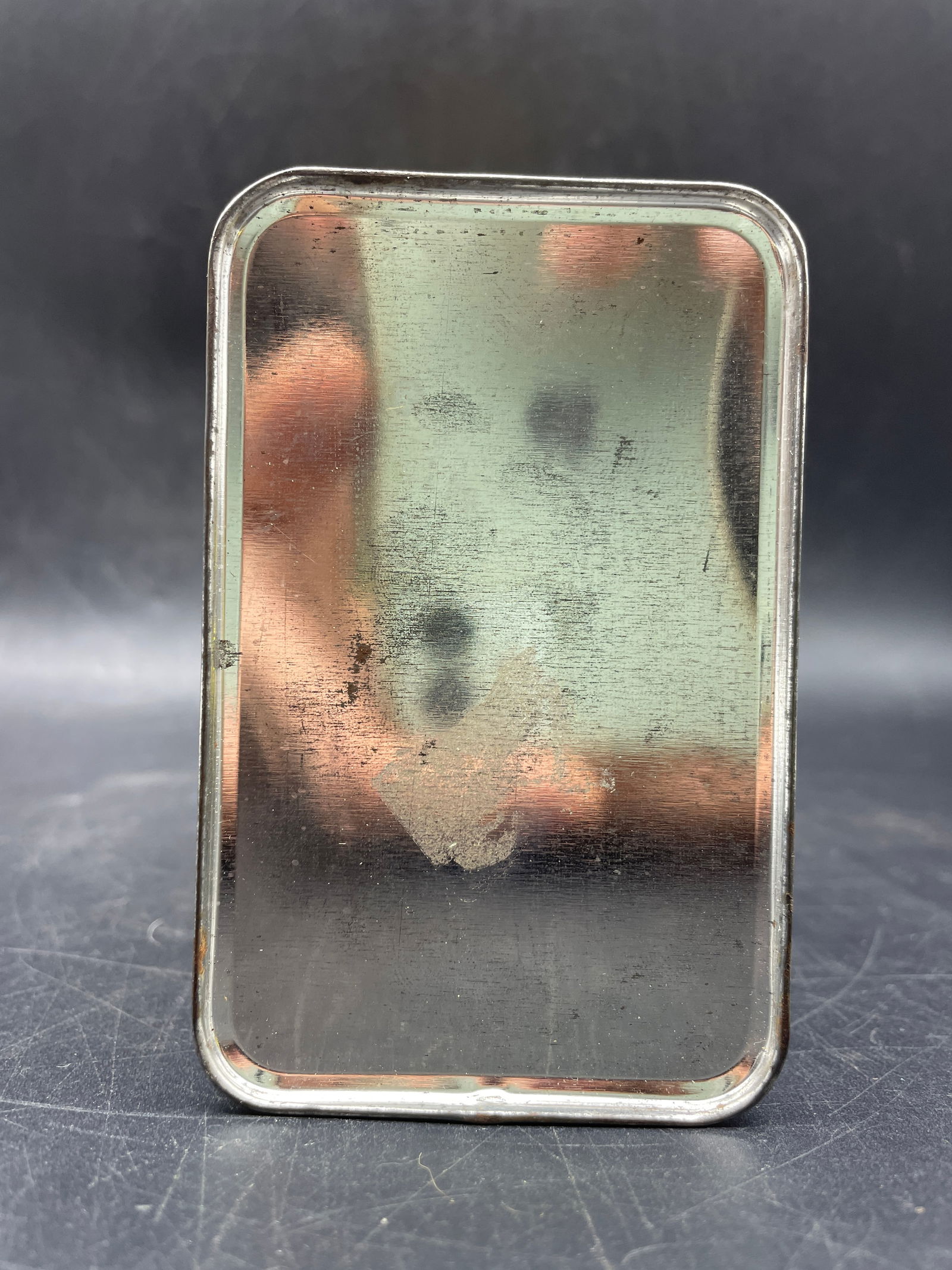 Old Flocked Lion 12" - 7