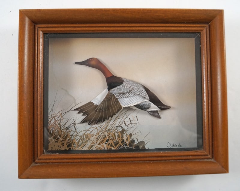 Canvas Back Duck Diorama by J.Q. Whipple #1 (1 of 3)