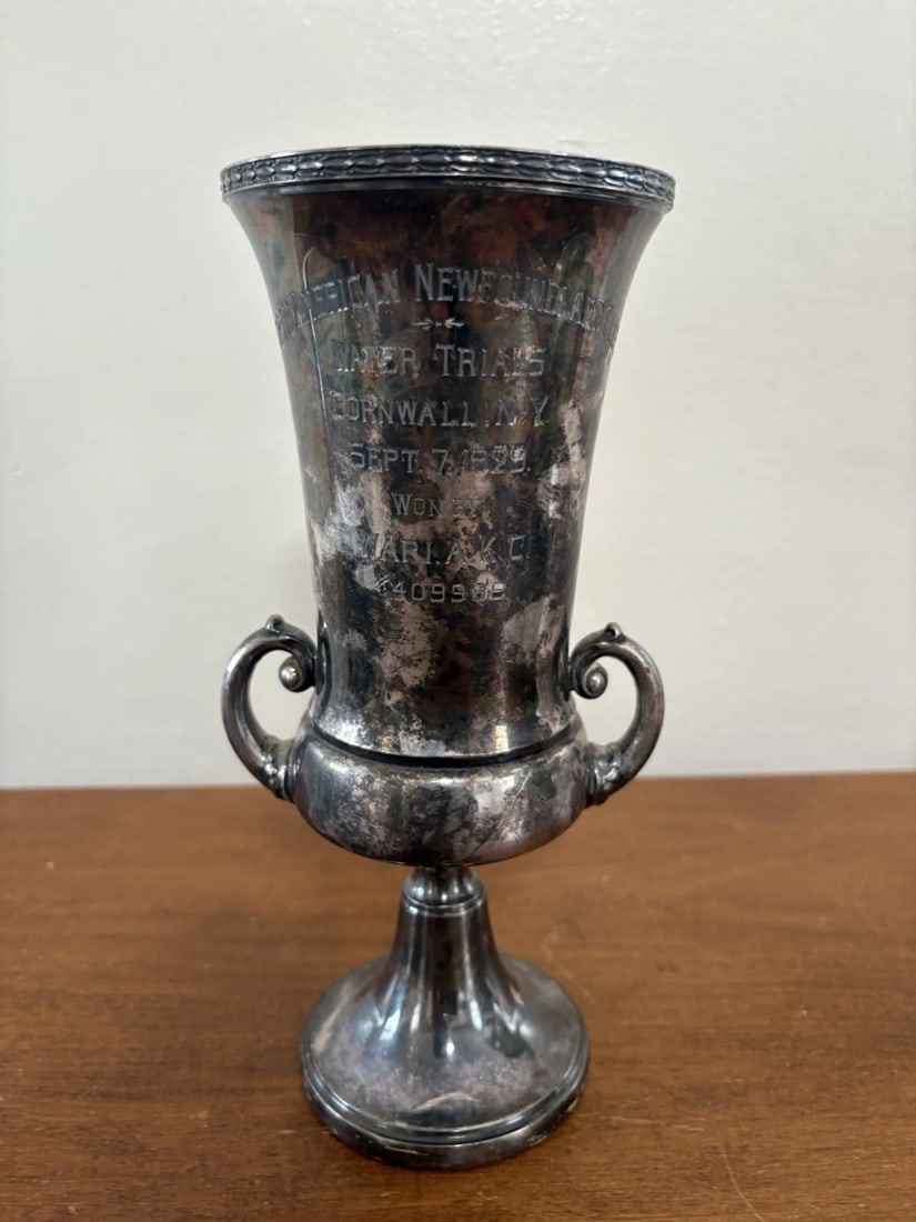 1929 North American Newfound & Club Loving Cup Trophy Cornwall NY (1 of 6)