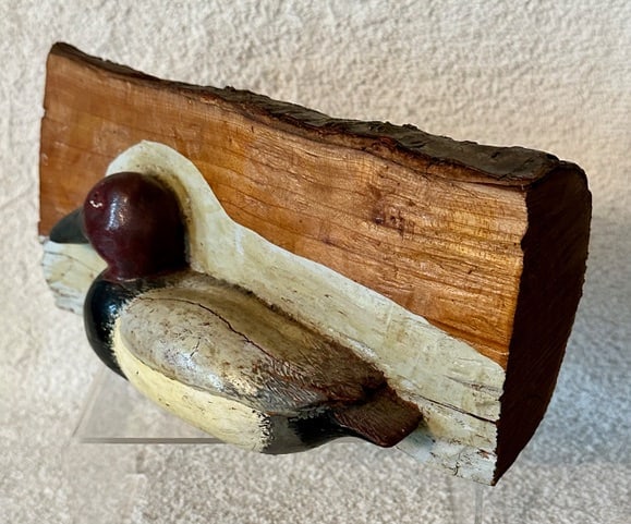 Canvasback Duck Carving in Log Signed - 3
