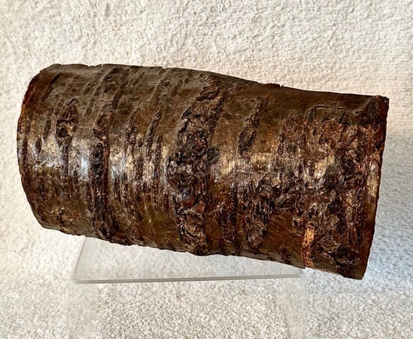 Canvasback Duck Carving in Log Signed - 7