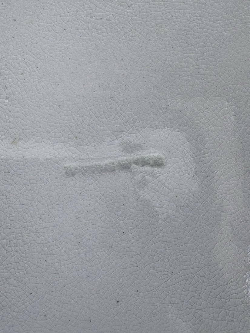 Wedgwood Majolica Fish Plate - 3