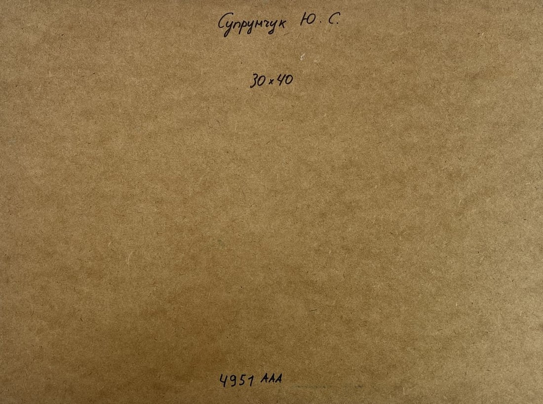 Oil painting City boat ferry Yuriy Suprunchuk - 10