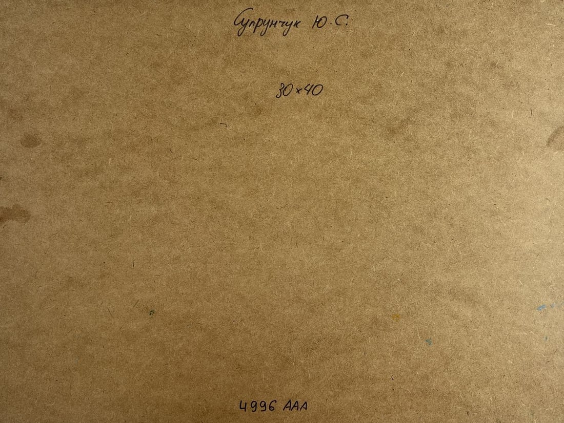 Oil painting Water channels of the city walls Yuriy Suprunchuk - 10