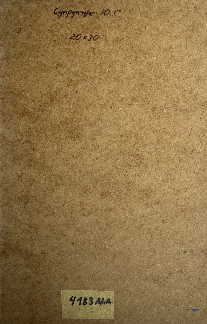 Oil painting People are walking down the street Yuriy Suprunchuk - 10