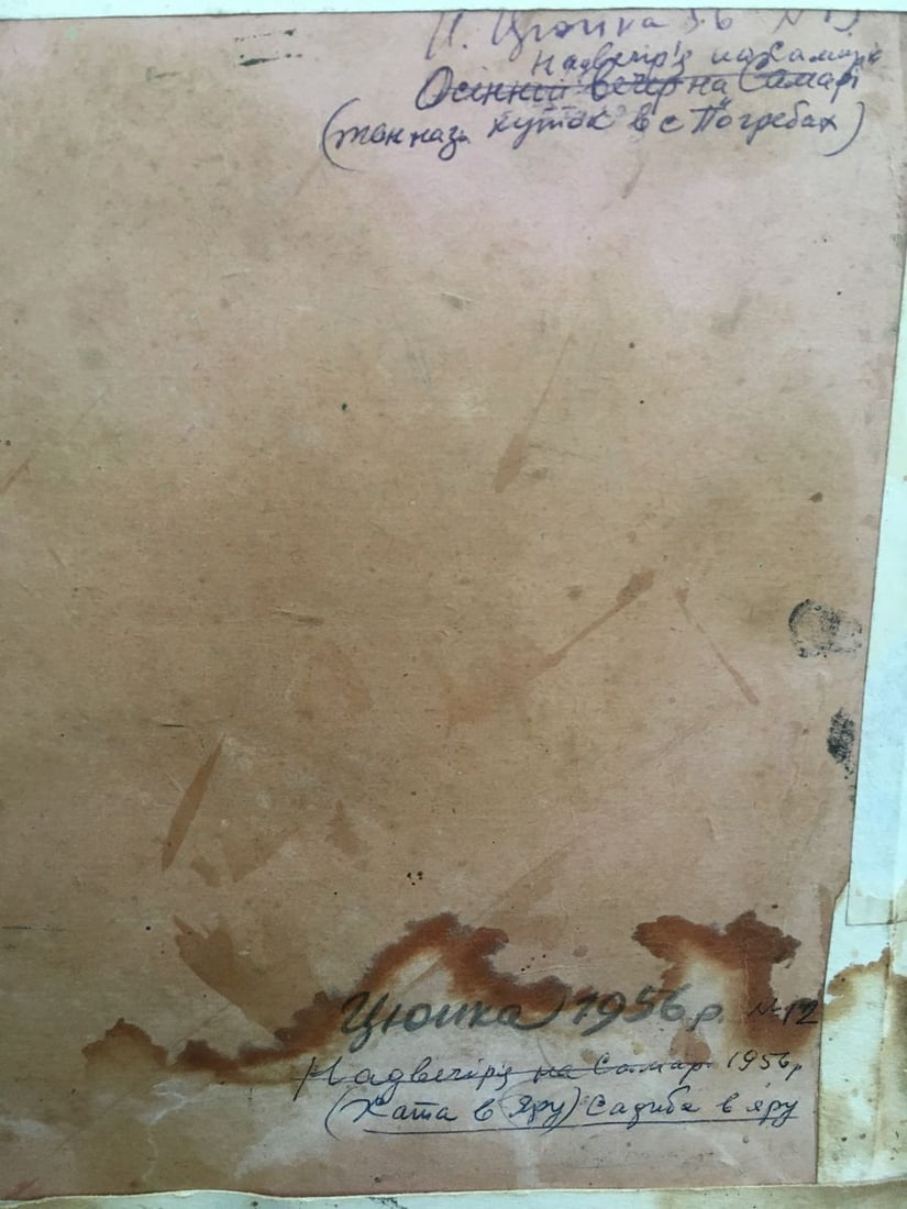 Oil painting Way home Tsyupka Ivan Kirillovich - 9