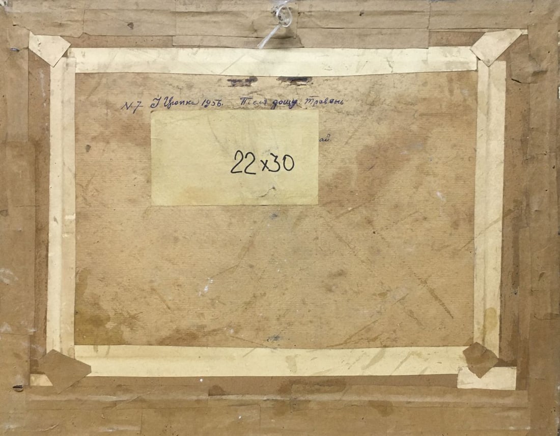 Oil painting After the rain Tsyupka Ivan Kirillovich - 9