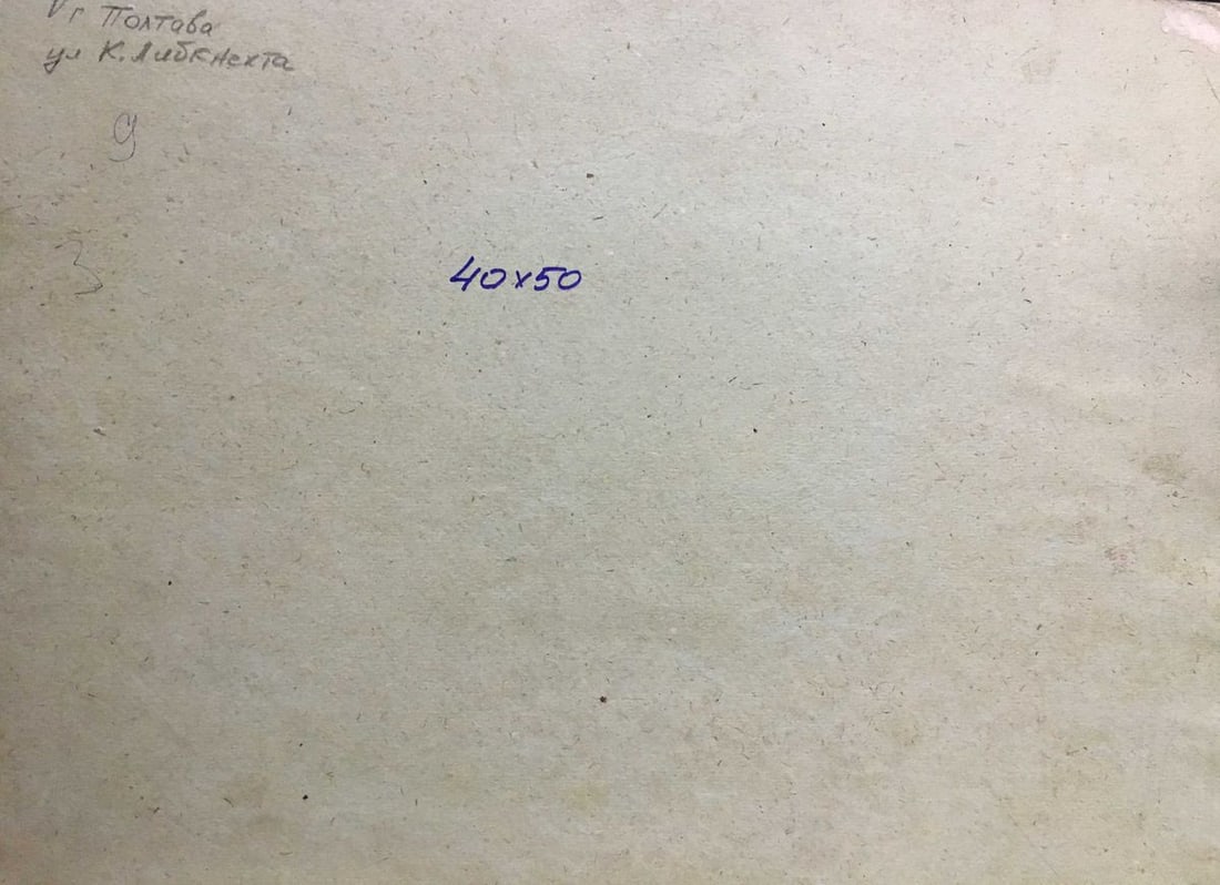 Oil painting house in the woods A. Cherkas - 6