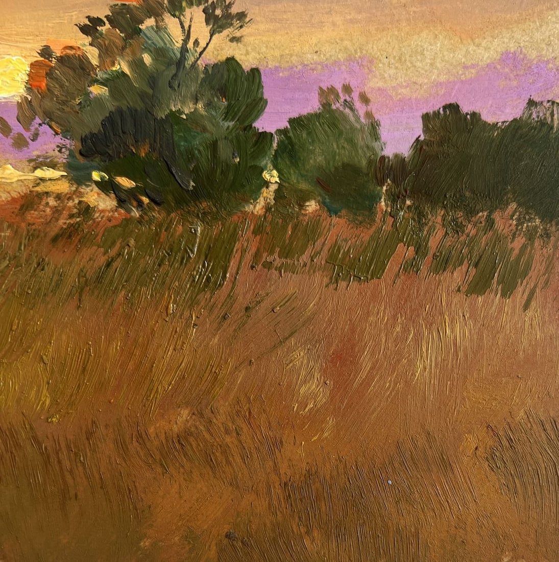 Oil painting Gold of the passing day Yuriy Suprunchuk - 7