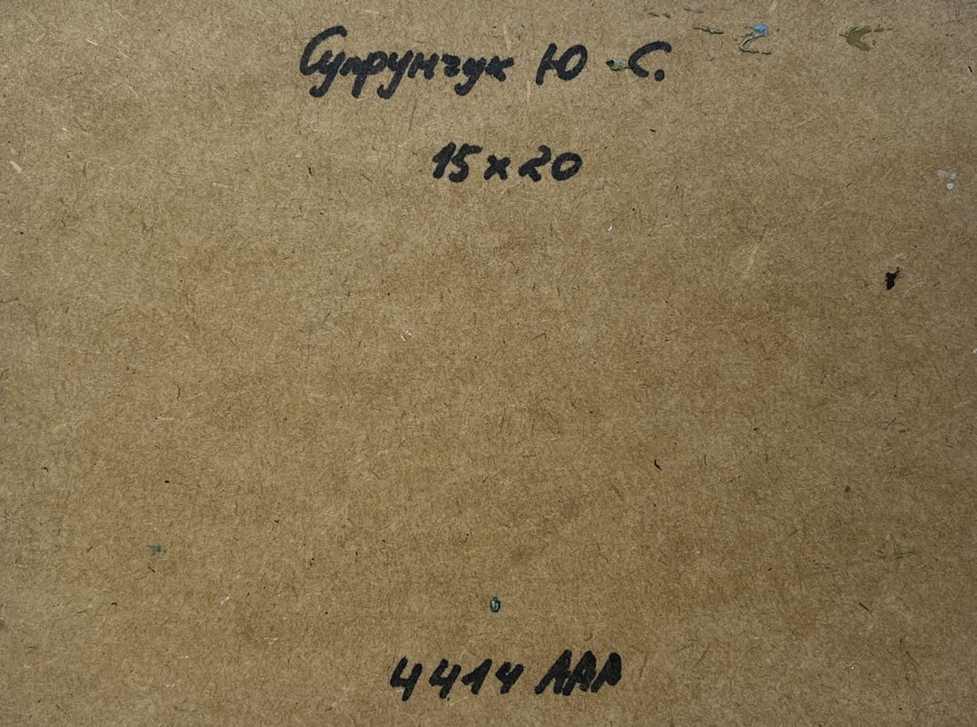 Oil painting The sun says goodbye to the horizon Yuriy Suprunchuk - 8