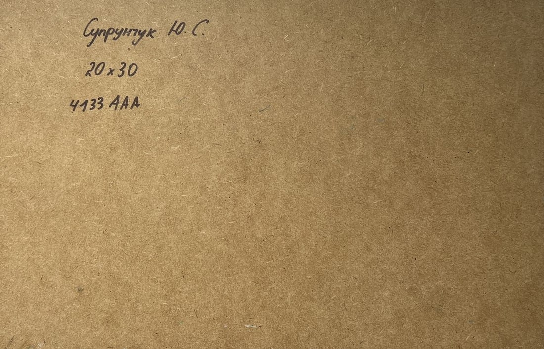 Oil painting Scarlet sunset on the ferry Yuriy Suprunchuk - 10