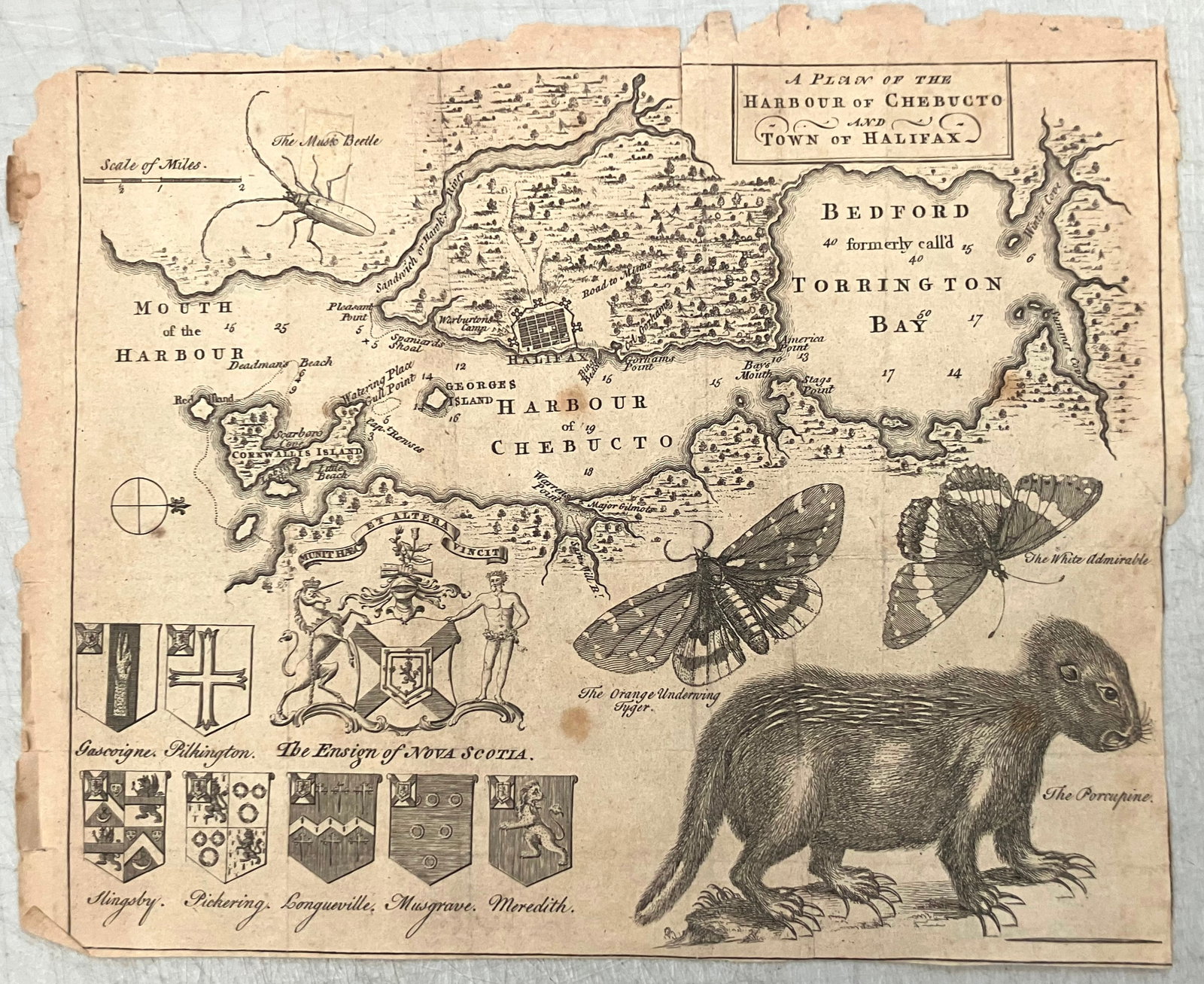 1750 Gentlemen's Magazine Map of Halifax -- A Plan of the Harbour of Chebucto and Town of Halifax: Title:1750 Gentlemen's Magazine Map of Halifax -- A Plan of the Harbour of Chebucto and Town of Halifax,li>Cartographer:Gentlemen's Magazine Year/Place:1750, London Map Dimensions:8.7 X 10.7 in. Descr