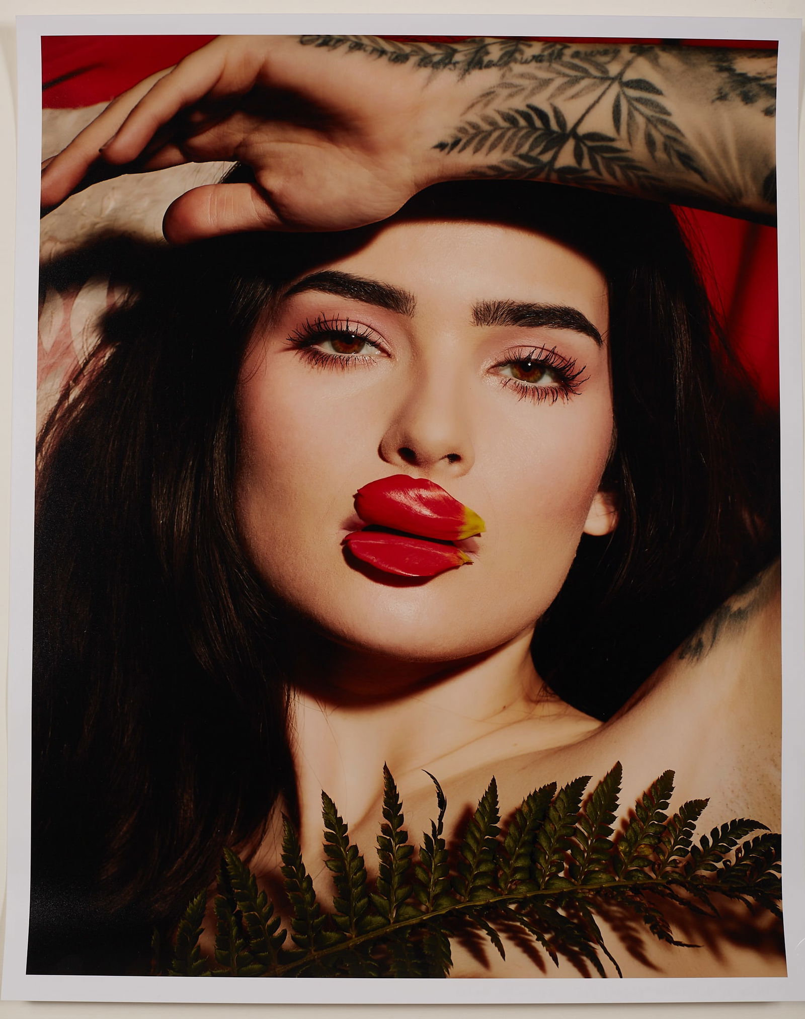 Tulip or not Tulip?(2026) 1/25 - 2