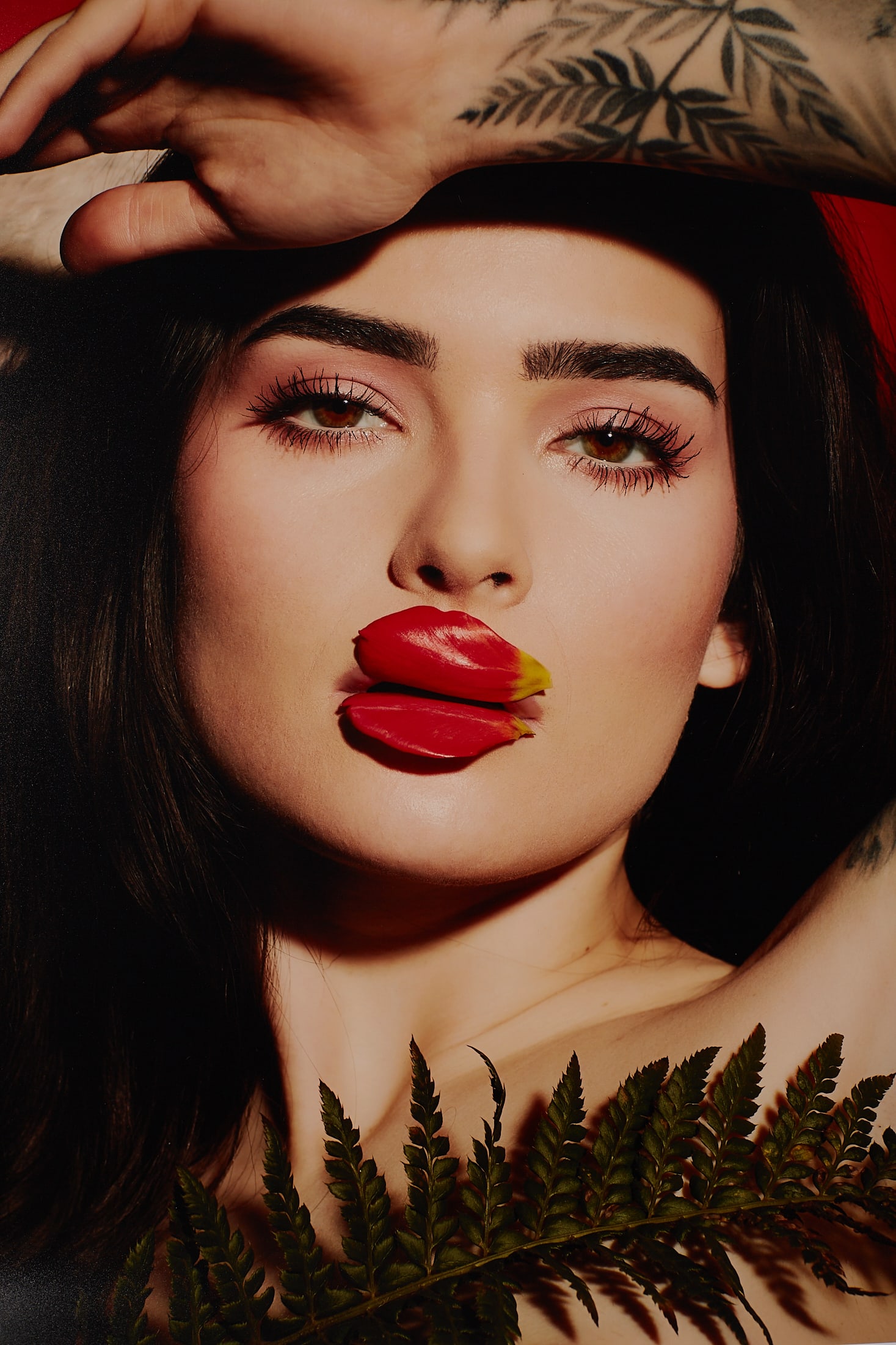 Tulip or not Tulip?(2026) 1/25 - 3