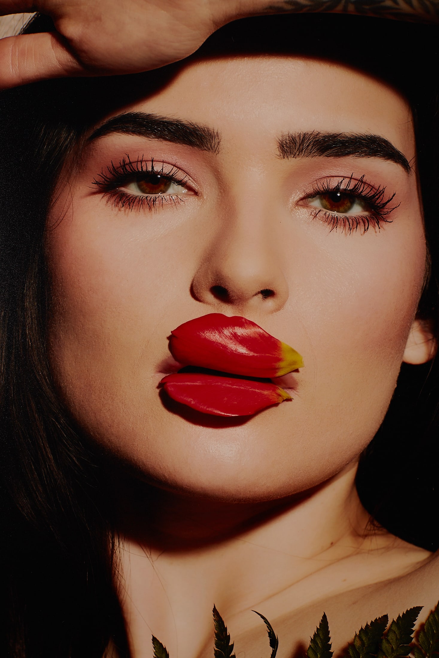 Tulip or not Tulip?(2026) 1/25 - 4