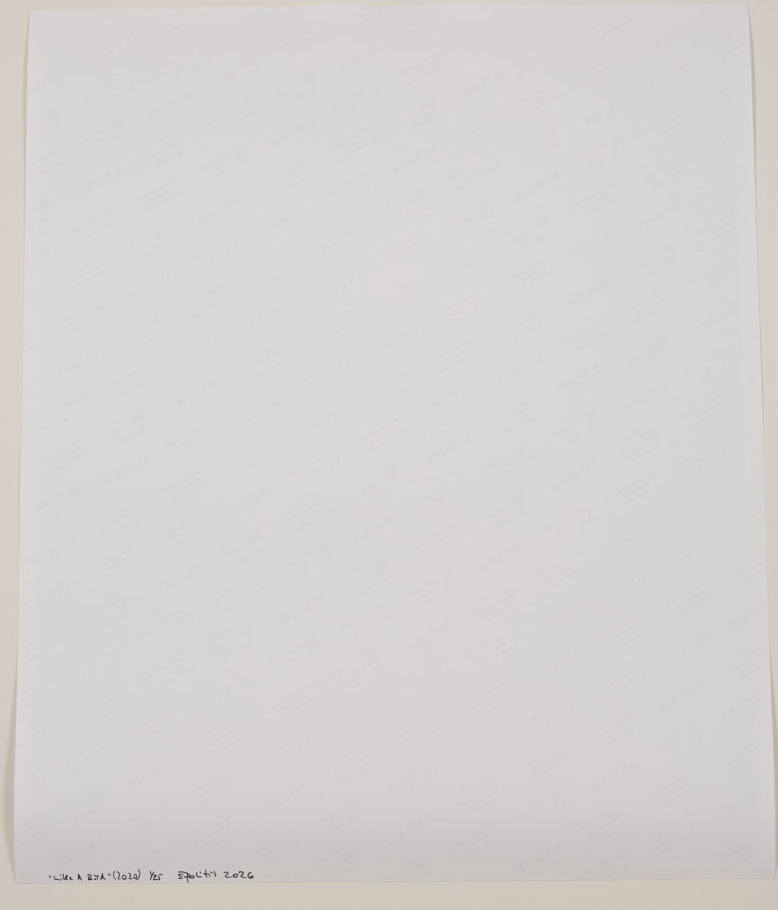 Like A Bird'(2020) 1/25 - 7