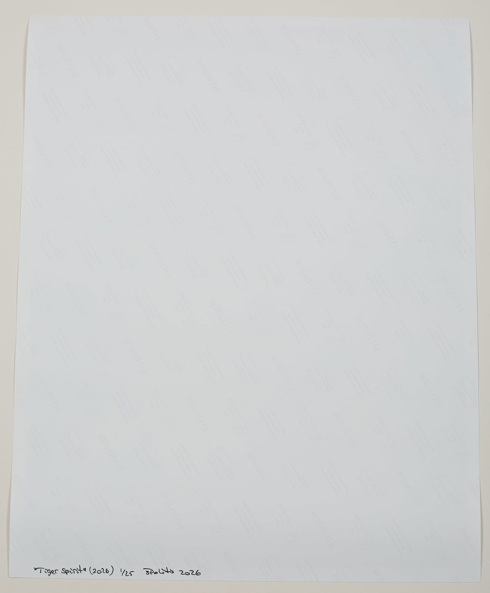 Tiger Spirit(2026) 1/25 - 8