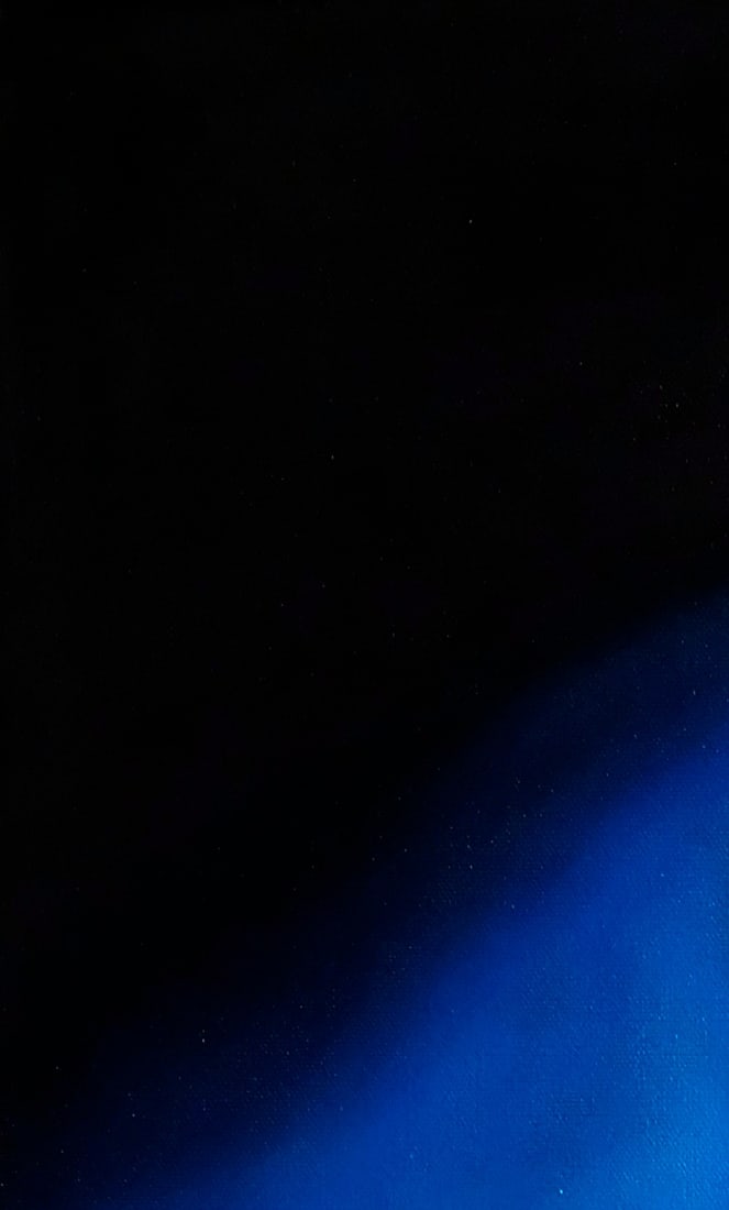 Oil painting Woman and mushrooms Ukrainian painter - 6