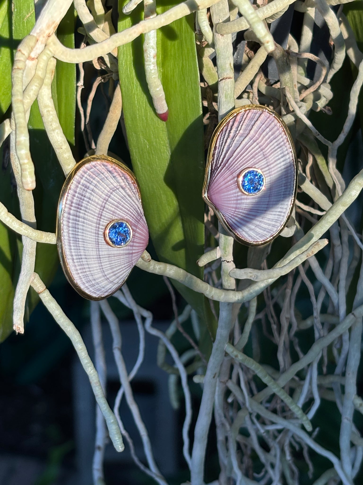 Lavender Cockle & Blue Sapphire, Vermeil Earrings: Title:Lavender Cockle & Blue Sapphire, Vermeil Earrings Description:These Cockle Shells don’t come along often. When they do, it’s rare to find two with this rich color from center to tip,