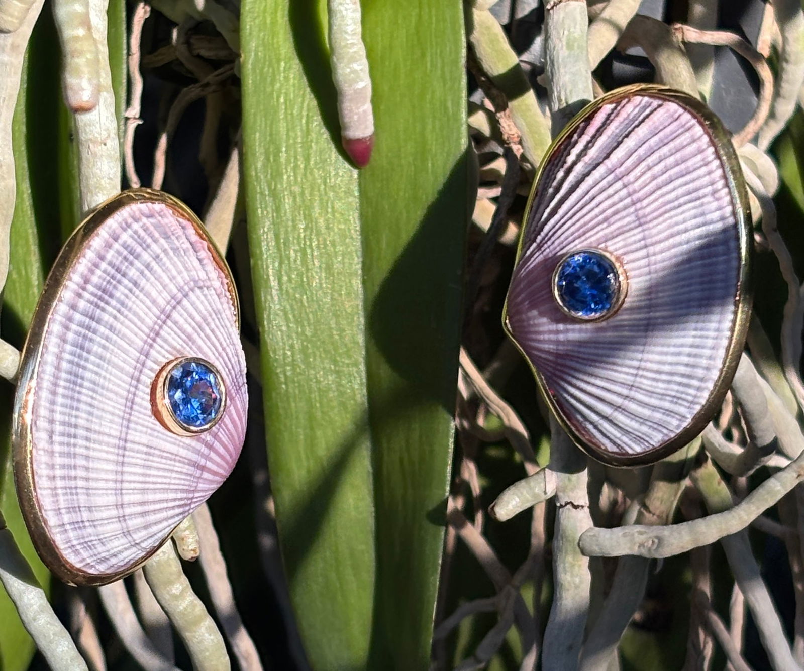 Lavender Cockle & Blue Sapphire, Vermeil Earrings - 3