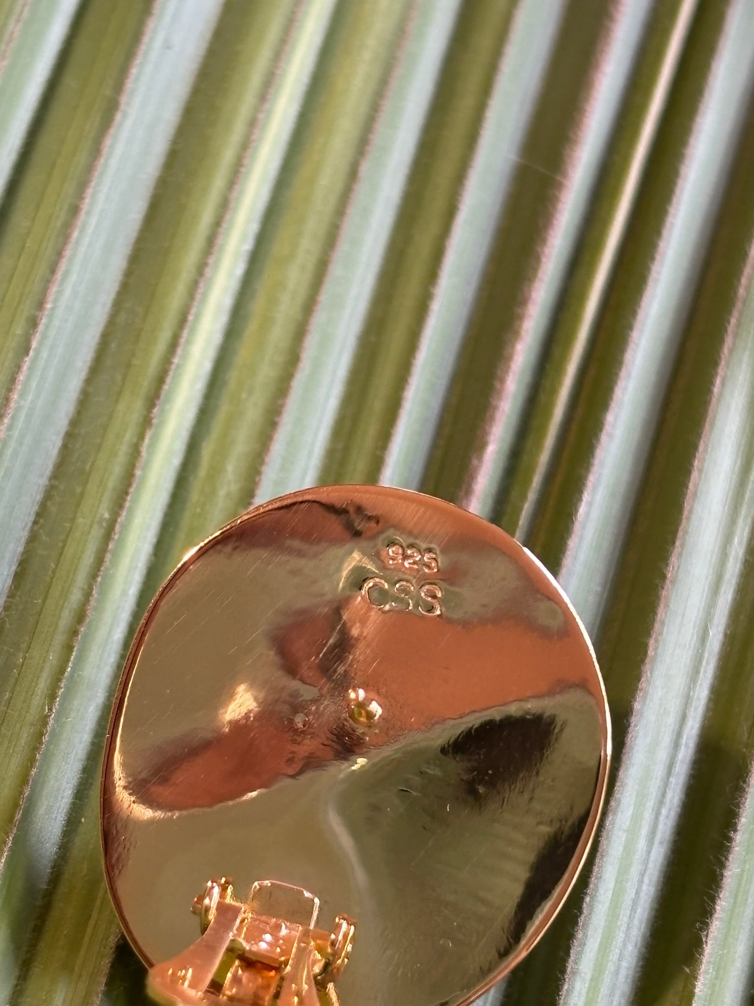 Shell Drop Earrings with Urchin Spines & Peridot - 3