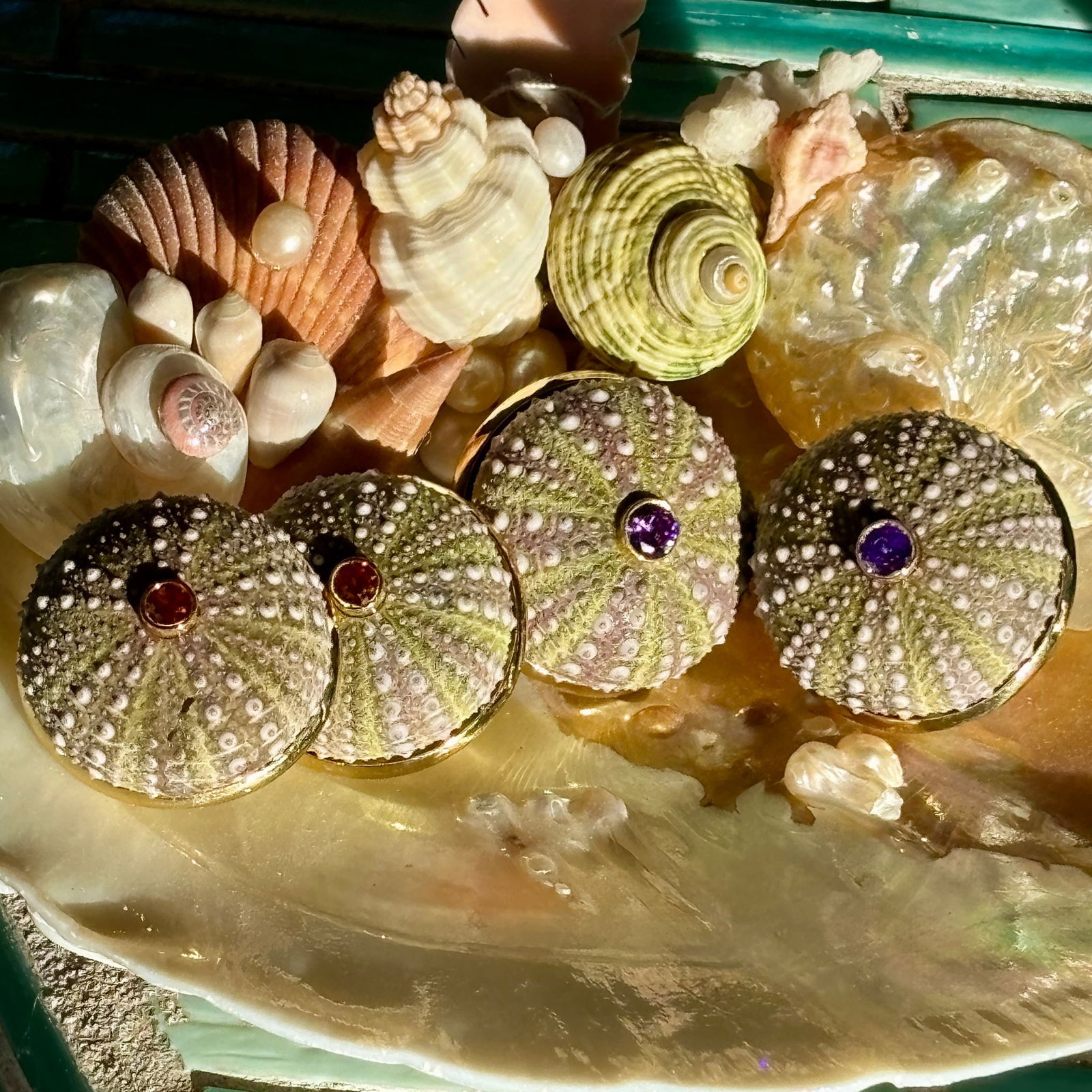 Sea Urchin & Sapphire, Vermeil Earrings - 2