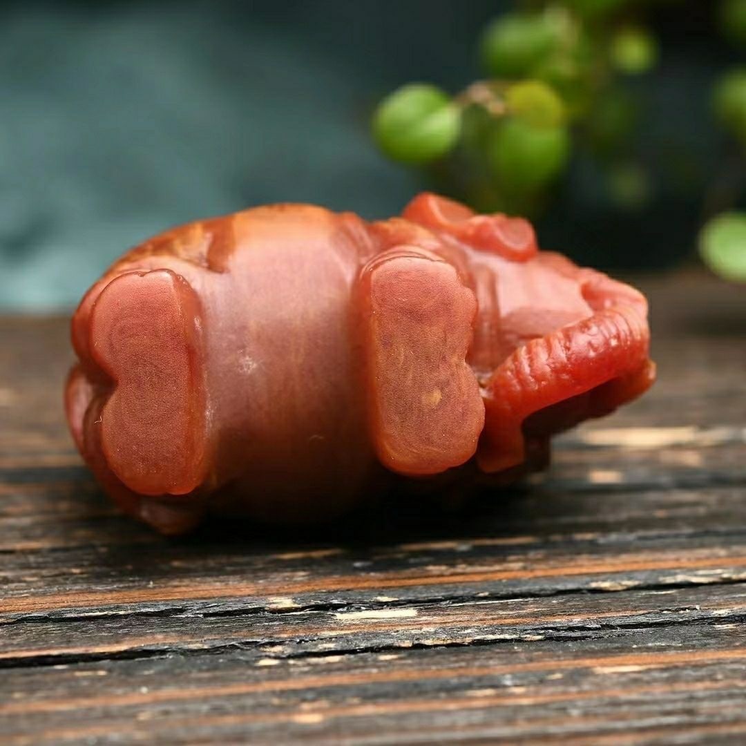 Natural Ambergris Elephant Carving Reiki Healing Amulet Figurines - 6