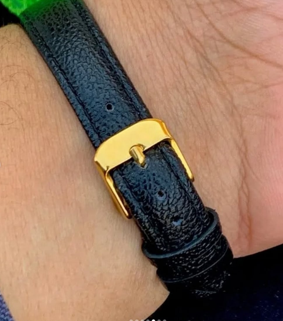 Le Devon Swiss Ladies Watch 3ATM DV5508WP - 6