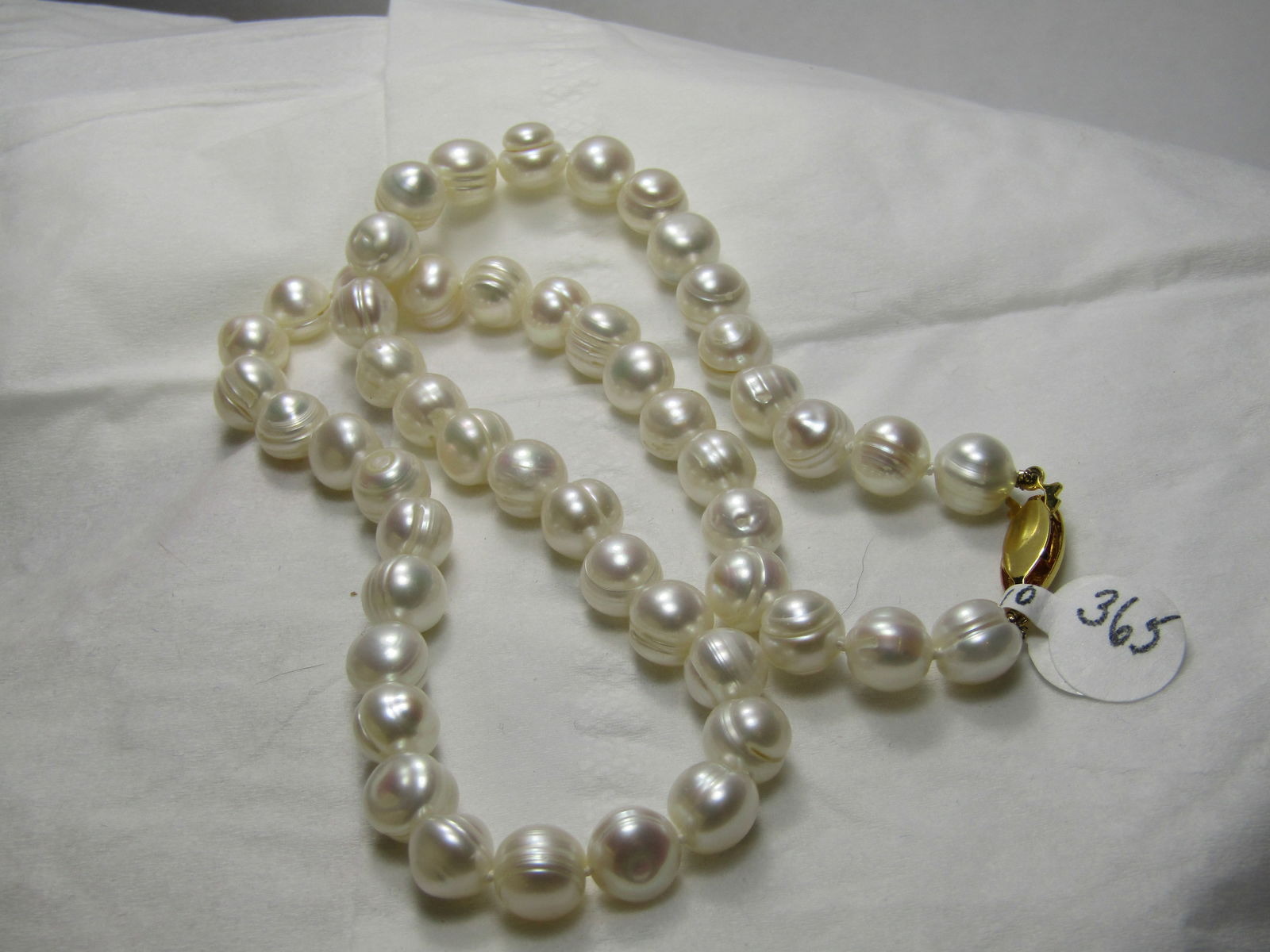 18" White Freshwater Potato Pearl Necklace, Gold Tone Filigree Clasp, 7.7mm to 8.5mm - 2