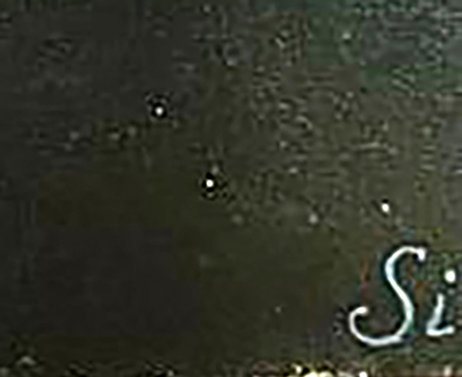 Acrylic painting Shadow of Childhood Irina Sitaylo - 5