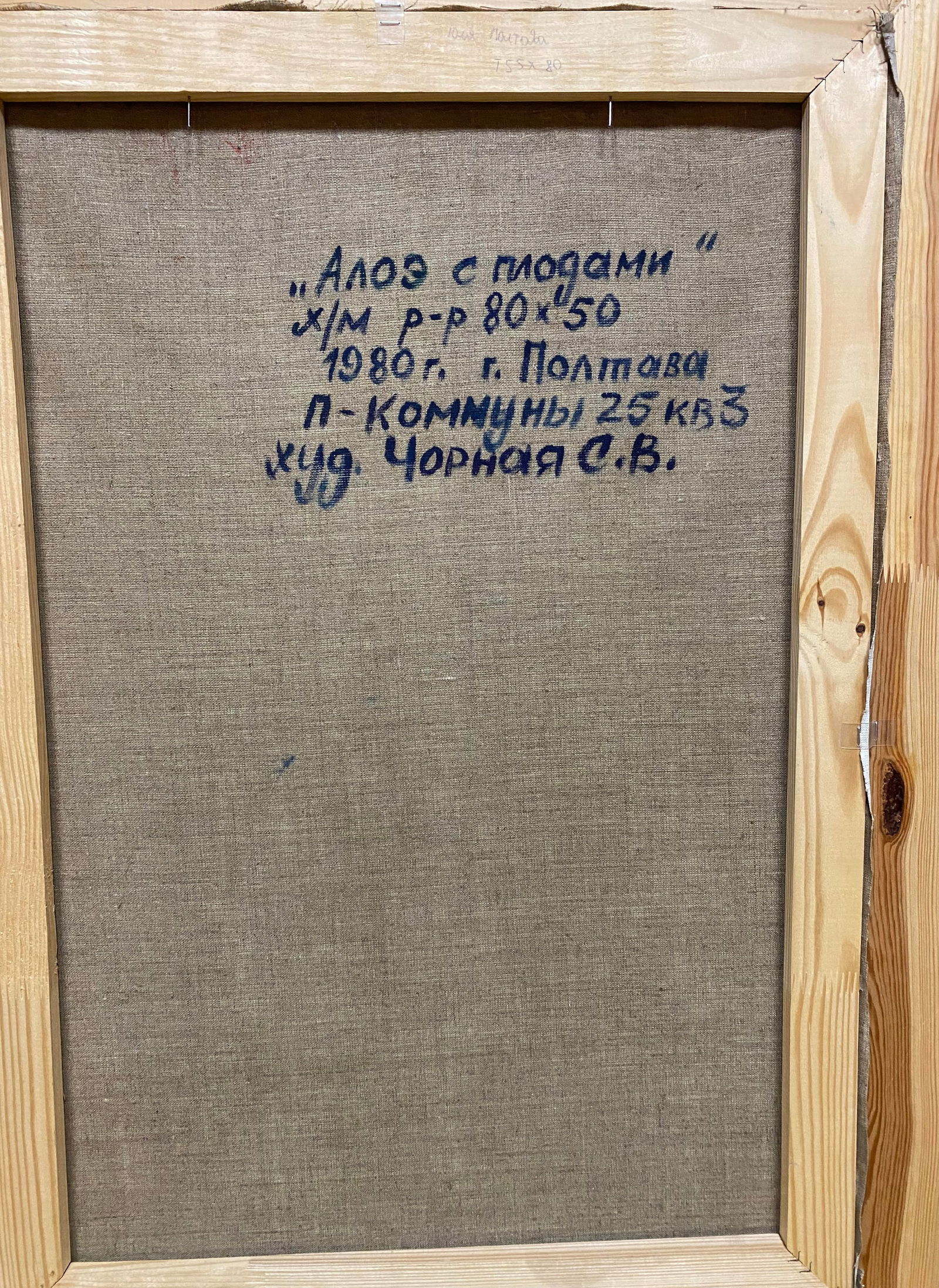 Oil painting Aloe with fruits Svetlana Chorna - 6