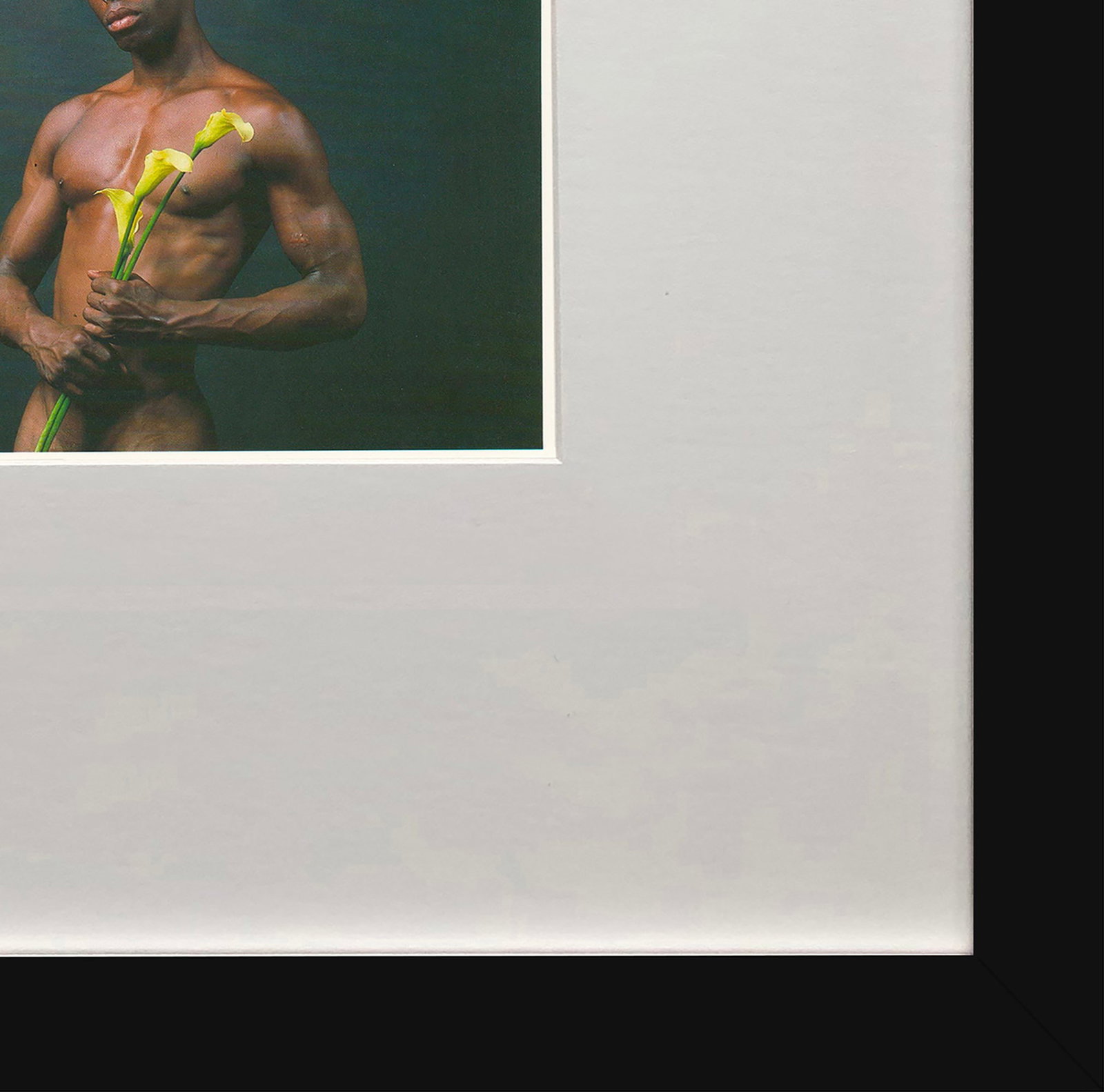 Robert Mapplethorpe - Dennis Speight with Calla Lilies - 1993 Offset Lithograph 7" x 5" - 4