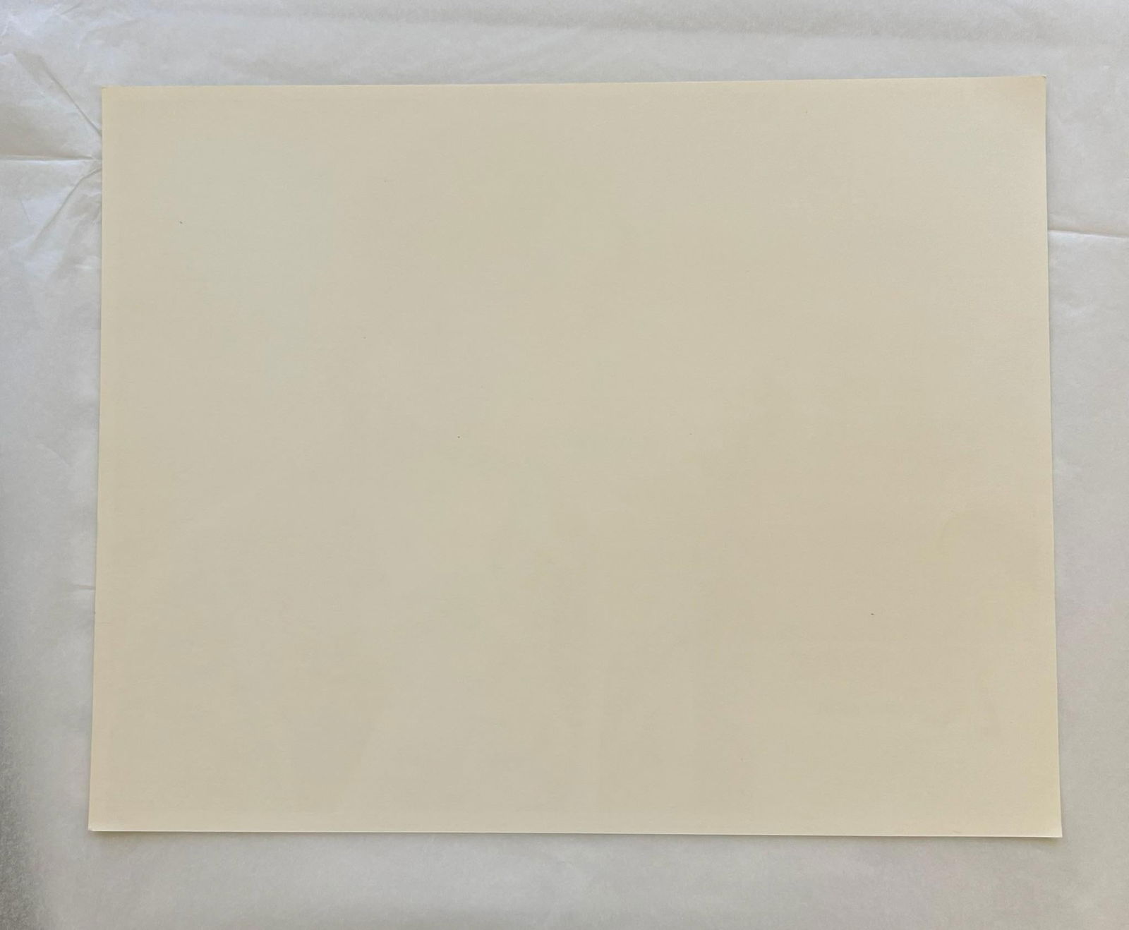 Raiders Of The Lost Ark - Original 1981 Lobby Card #8: 1981 - 8