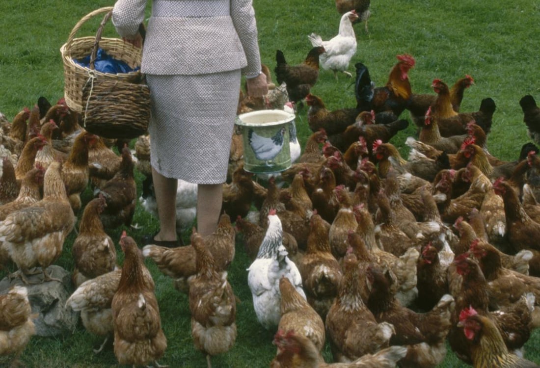 Down To Earth Duchess circa 1990 Signed Limited Edition: 1990 (printed later) - 3