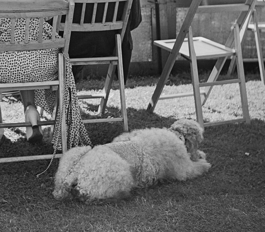 Newport Tennis Slim Aarons Limited Estate Edition Print: 1953 (Printed Later) - 9