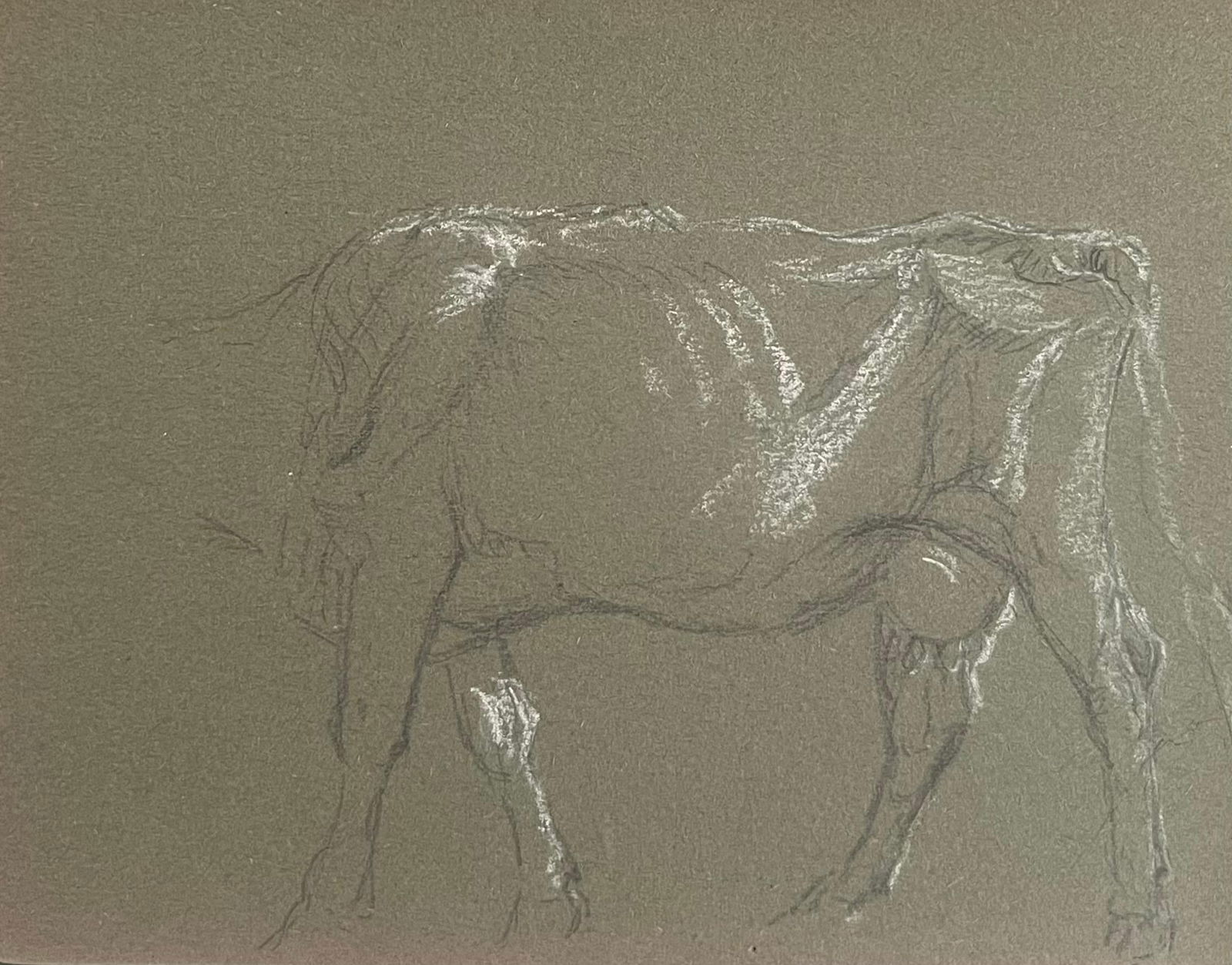 John Rabone Harvey; British Chalk Pencil Sketch Of A Cow's Body With White Features, 1966 - 2