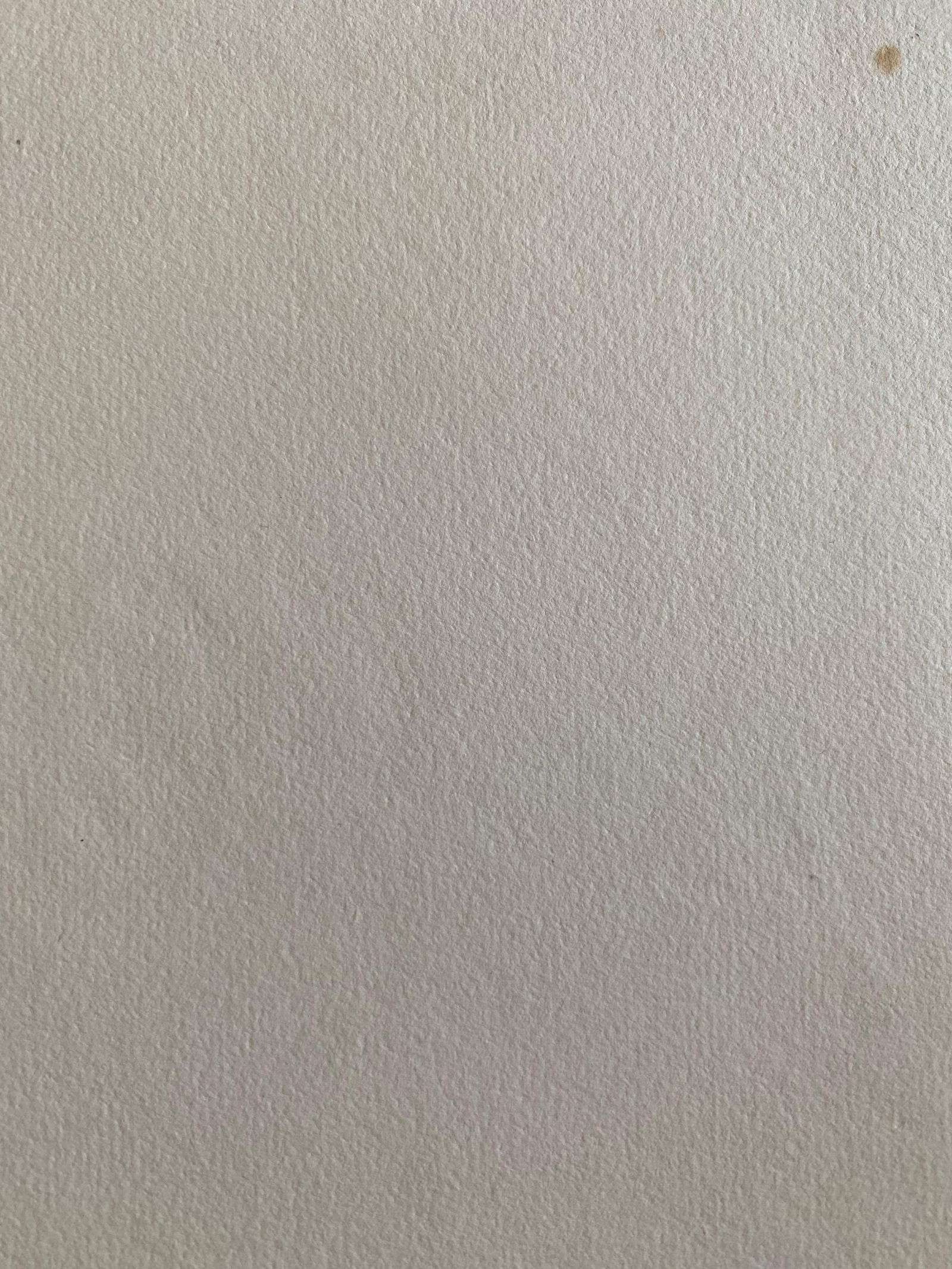 Fine Antique British Botannical Watercolour Painting, circa 1900's, circa 1900s - 6