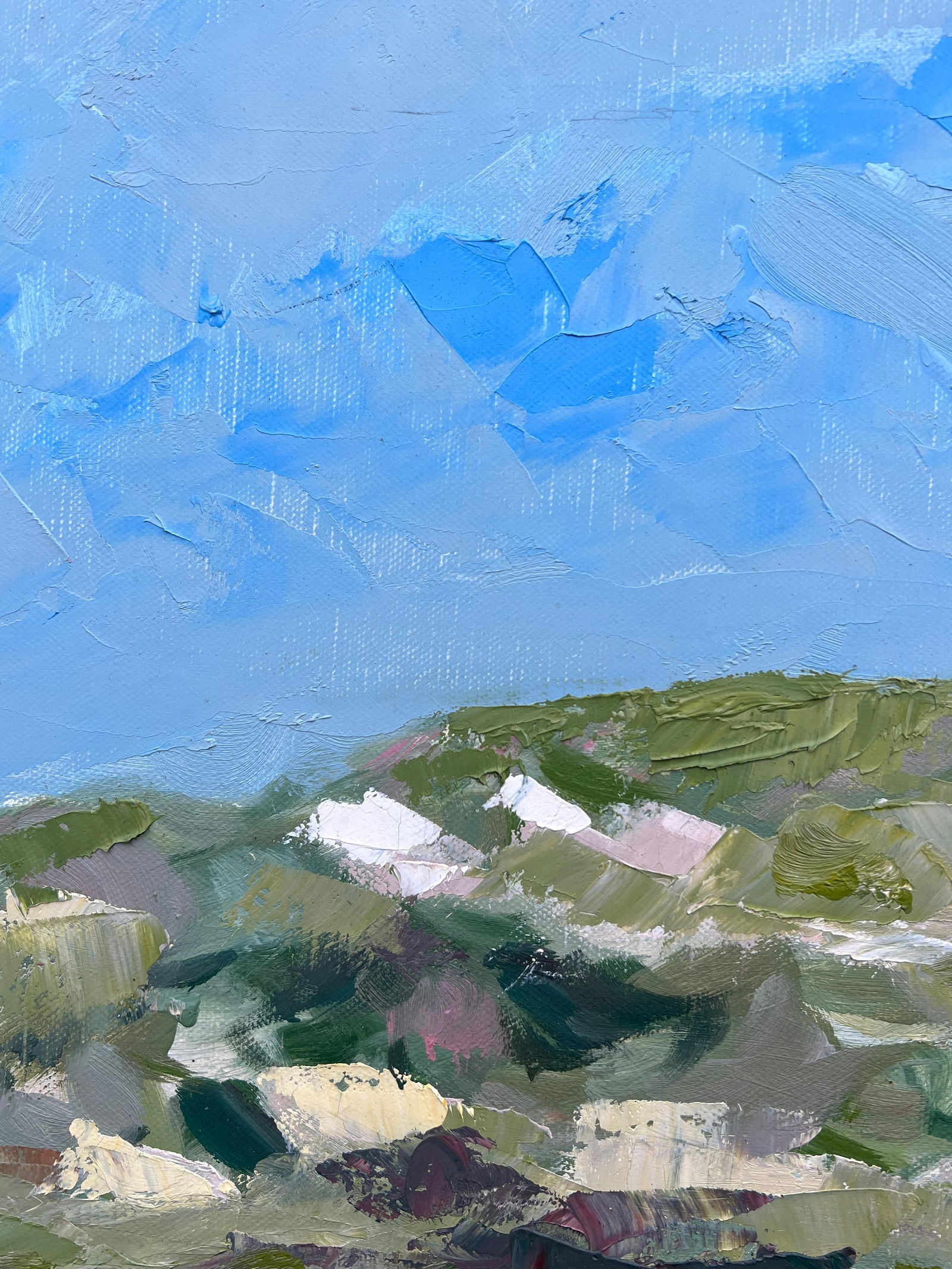 Spanish artist; Contemporary Spanish Oil Vibrant Fields Under Vast Sky Impressionist Landscape, 1996 - 7