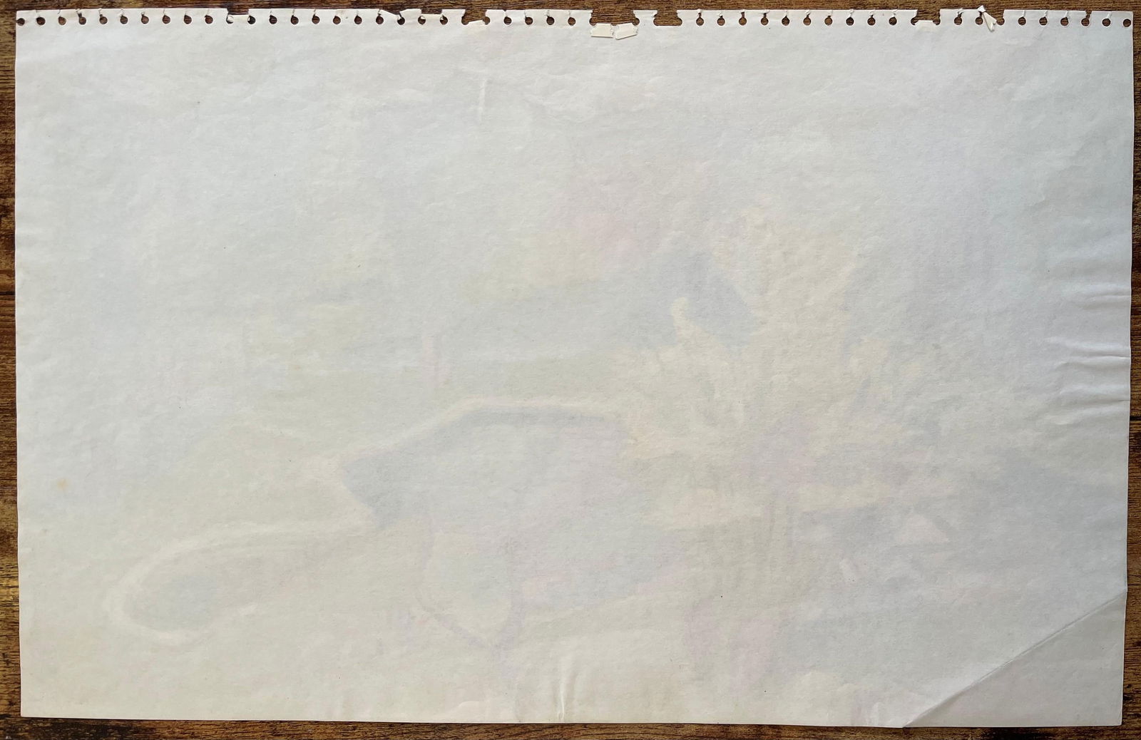 Anne Marie Migette Perard; Mid-20th Century Post-Impressionist Garden Landscape with Yellow Tree - 11