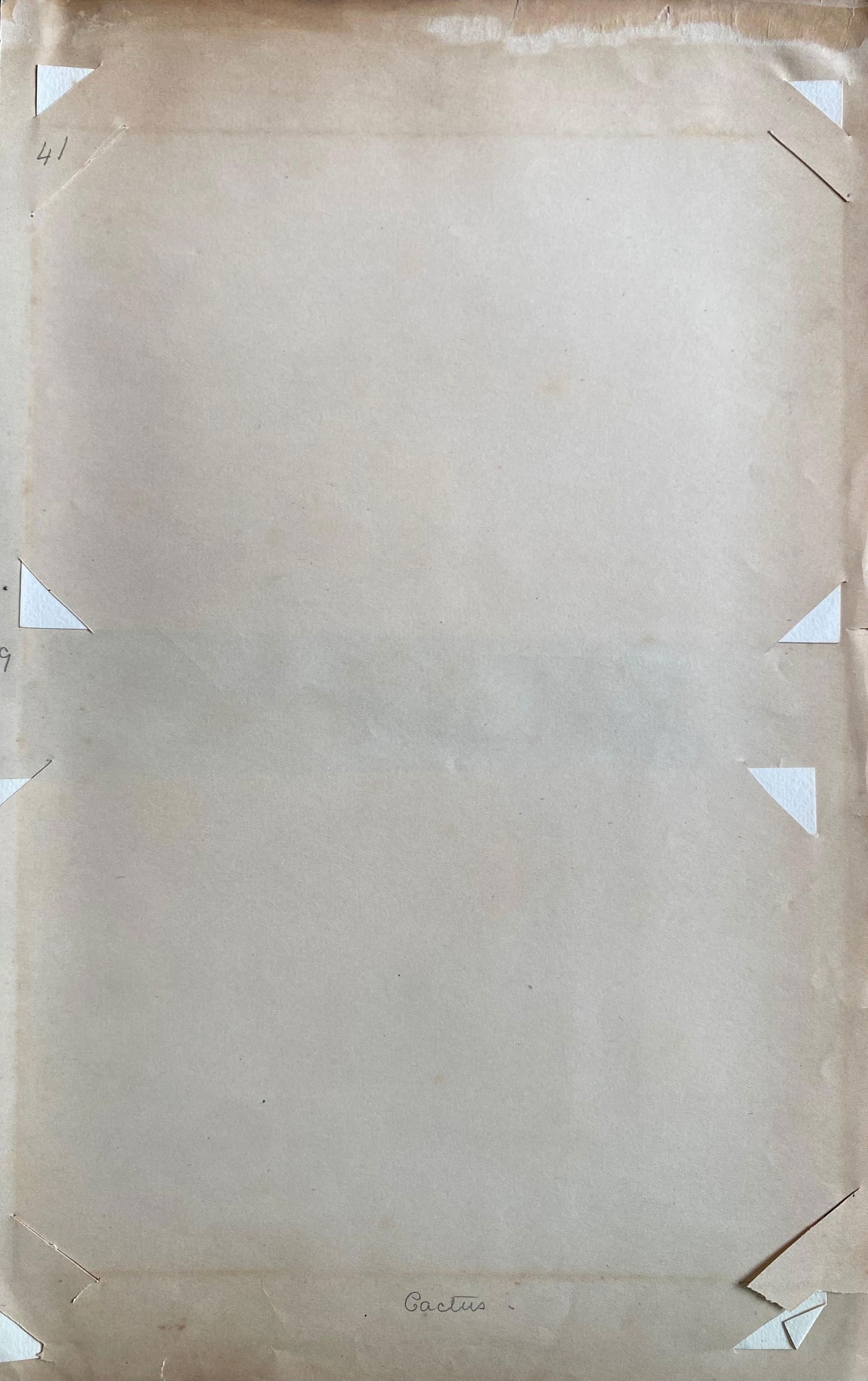 Set of Two Fine Antique British Botannical Watercolour Painting, circa 1900's, circa 1900s - 3