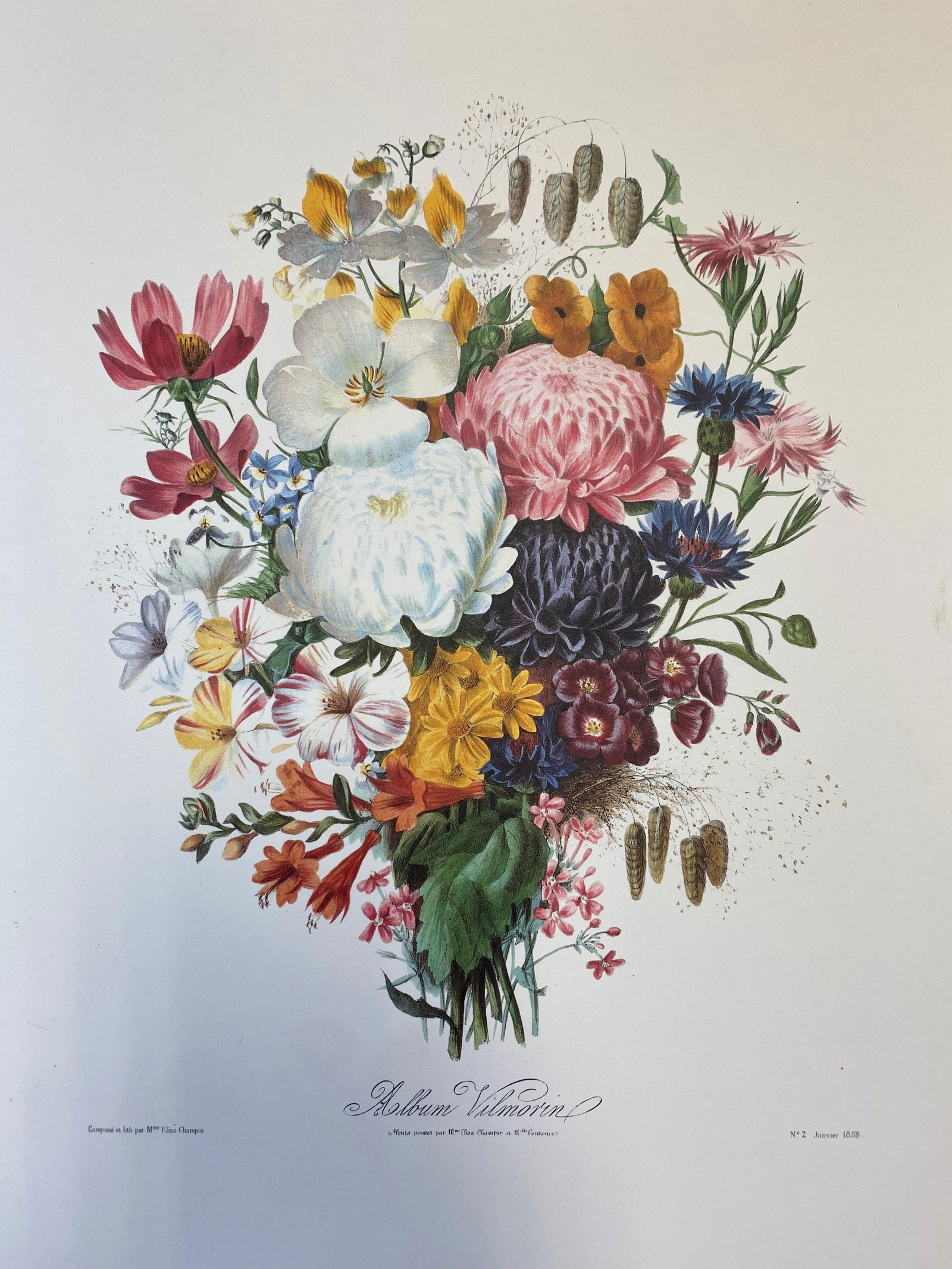 Set of Nine Botanical Floral Colored Prints, Ideal Gallery Wall Project, 20th Century - 9