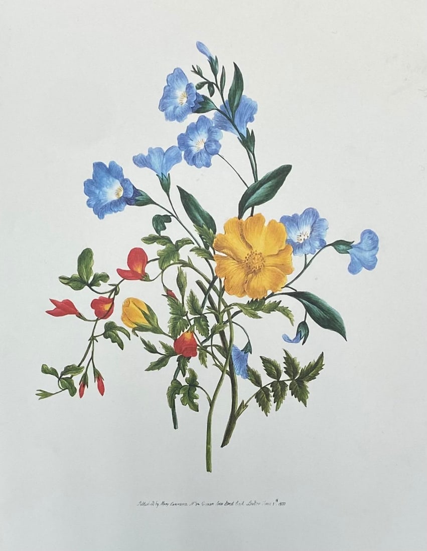 Set of Nine Botanical Floral Colored Prints, Ideal Gallery Wall Project, 20th Century - 11