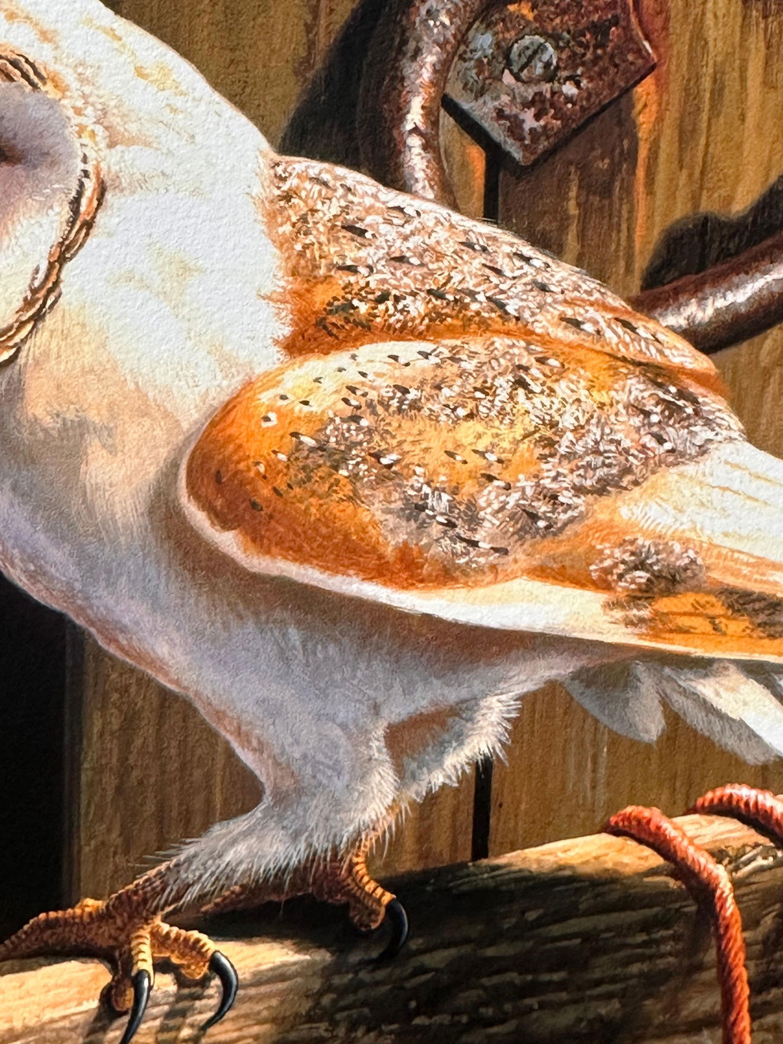 Adrian Rigby; Barn Owl Beautiful Quality British Wildlife Artist Limited Edition Signed Print, 2006 - 8