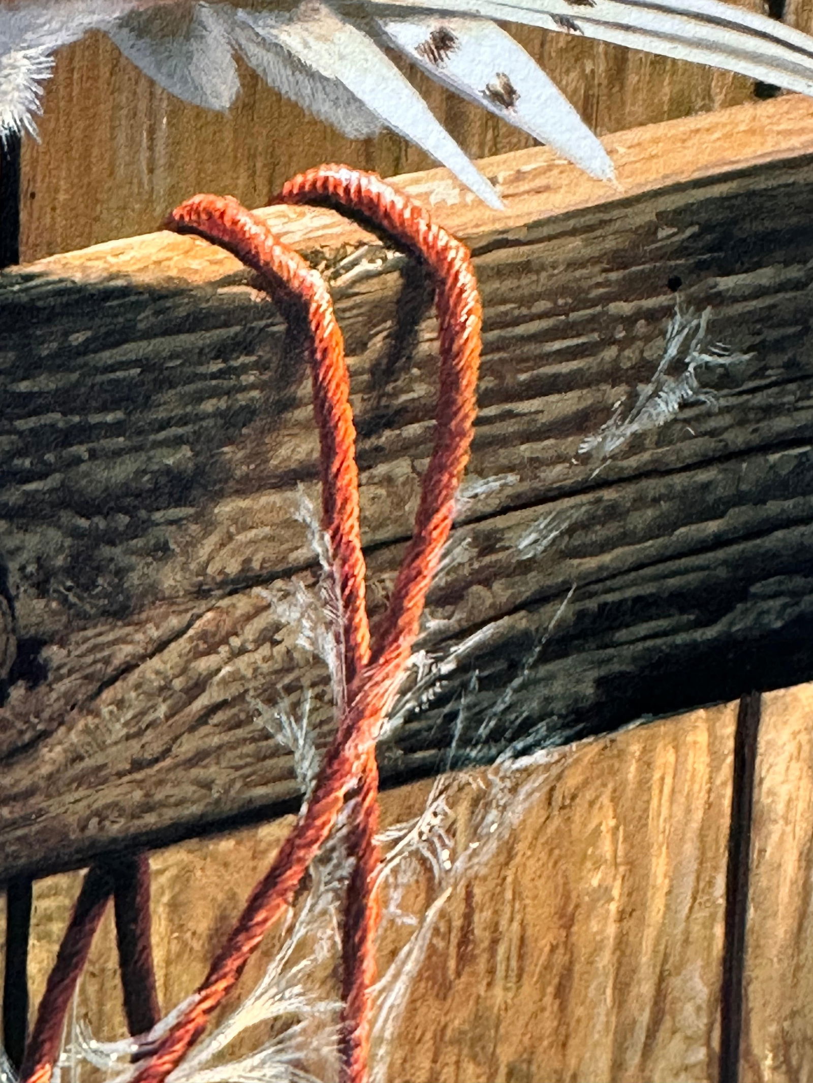 Adrian Rigby; Barn Owl Beautiful Quality British Wildlife Artist Limited Edition Signed Print, 2006 - 10