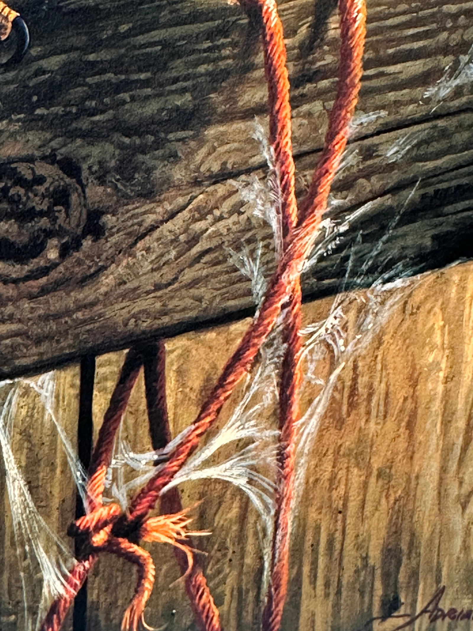 Adrian Rigby; Barn Owl Beautiful Quality British Wildlife Artist Limited Edition Signed Print, 2006 - 11