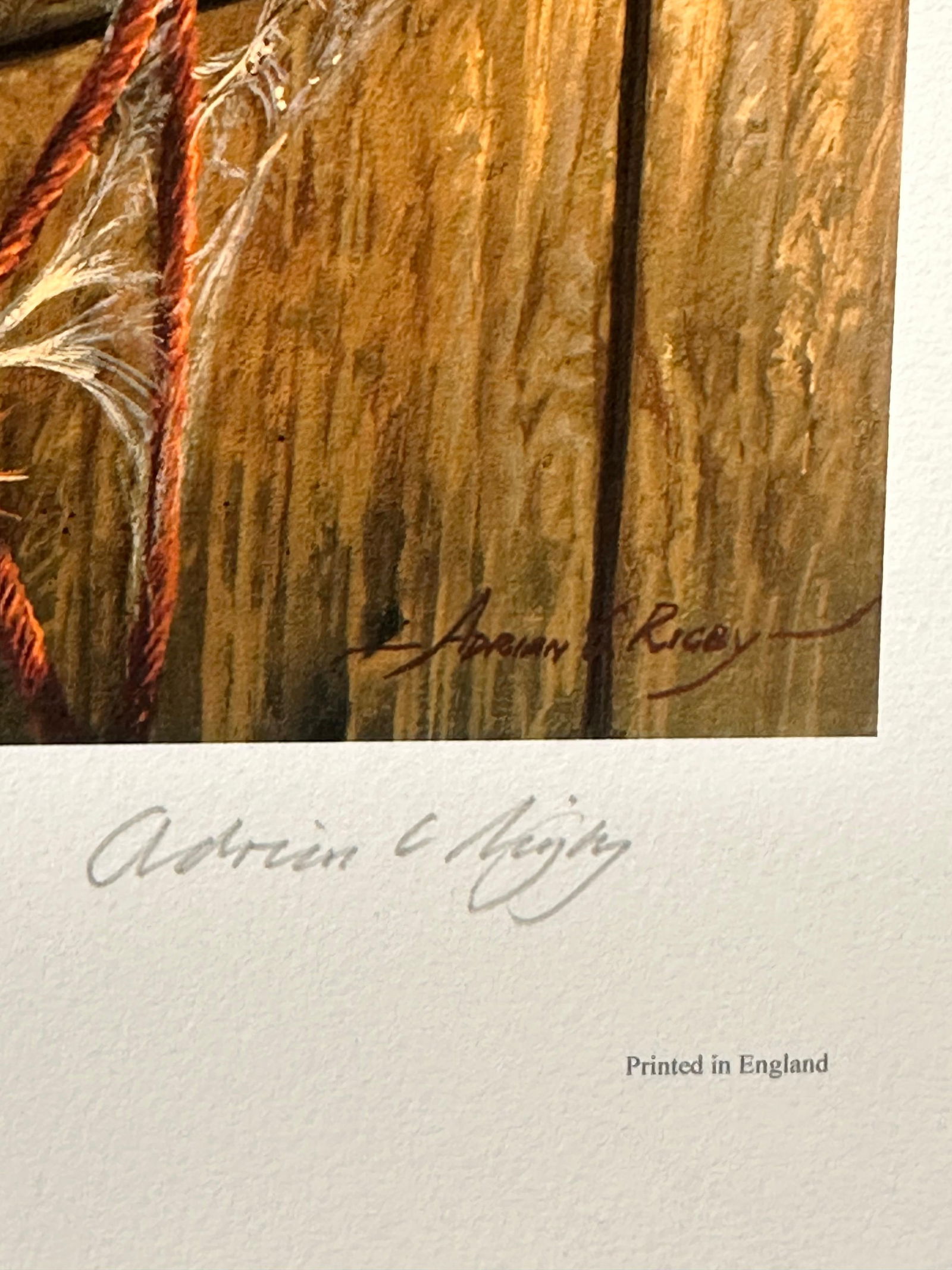 Adrian Rigby; Barn Owl Beautiful Quality British Wildlife Artist Limited Edition Signed Print, 2006 - 3