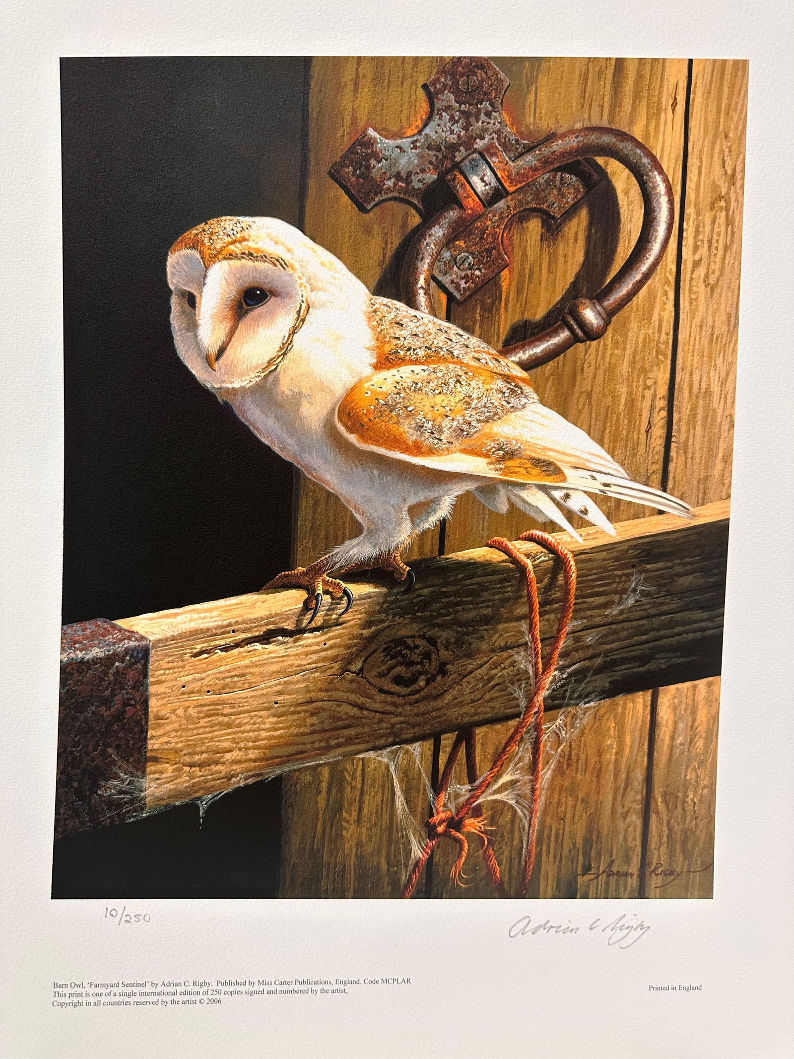 Adrian Rigby; Barn Owl Beautiful Quality British Wildlife Artist Limited Edition Signed Print, 2006 - 5