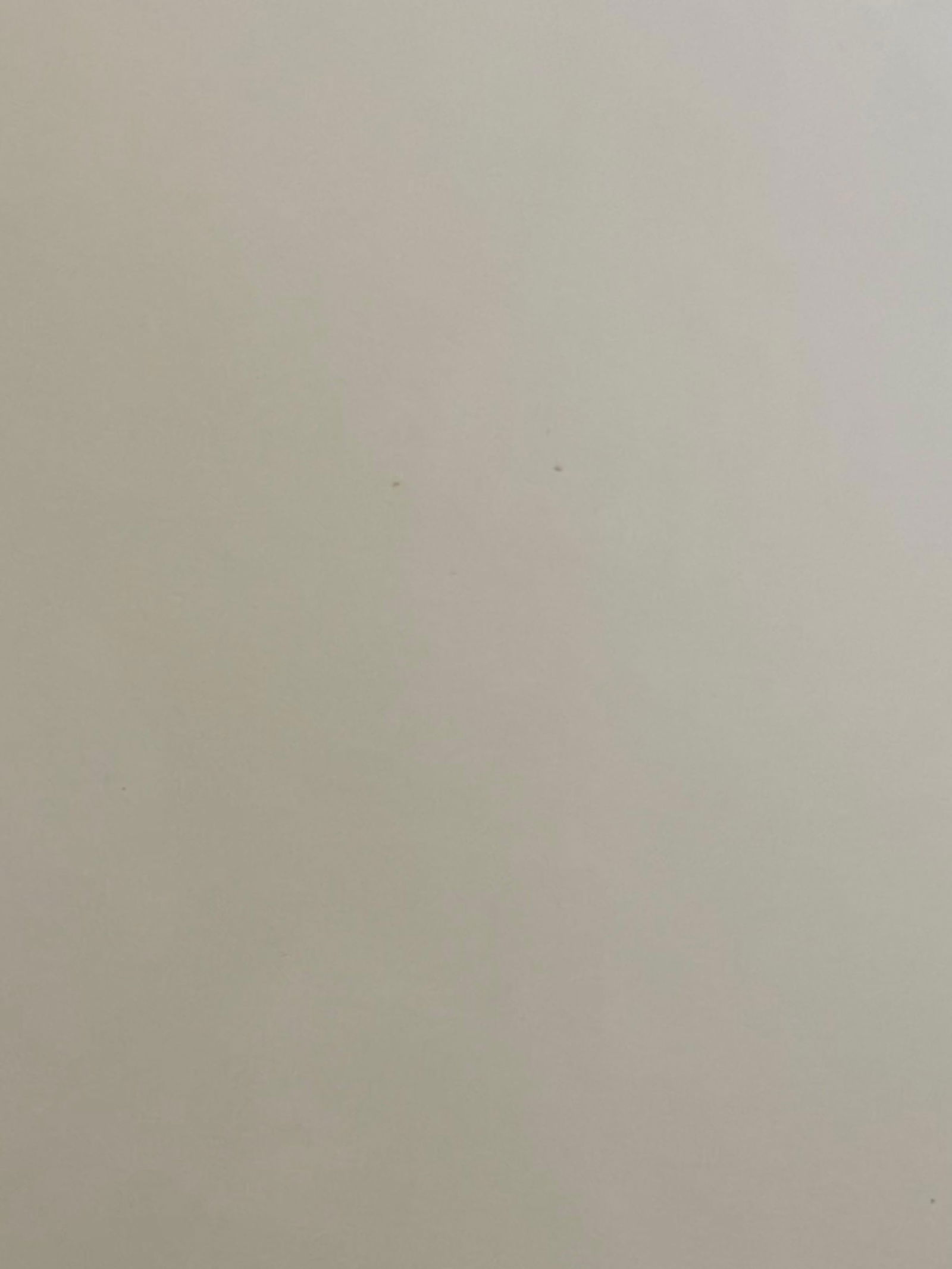 Large Classical Bird Color Print After John James Audubon, Wild Turkey, 20th Century - 3